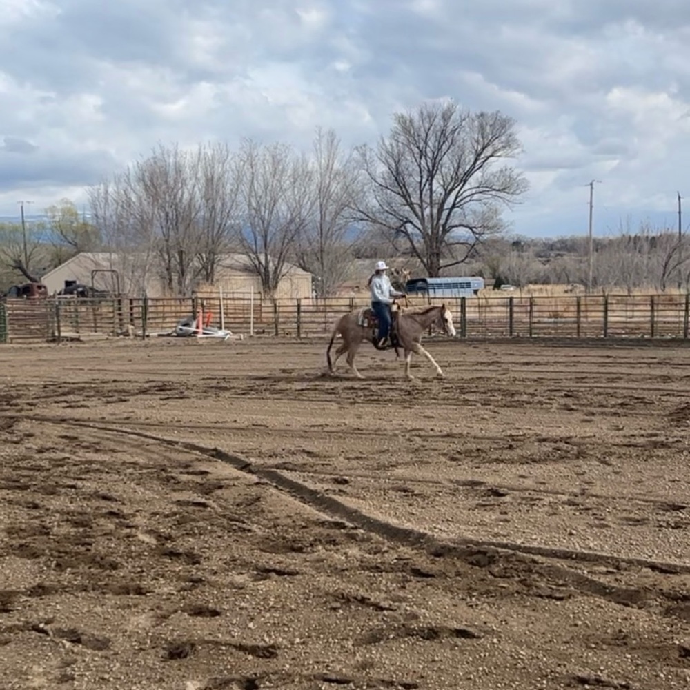 HI EVERYONE! I apologize!!